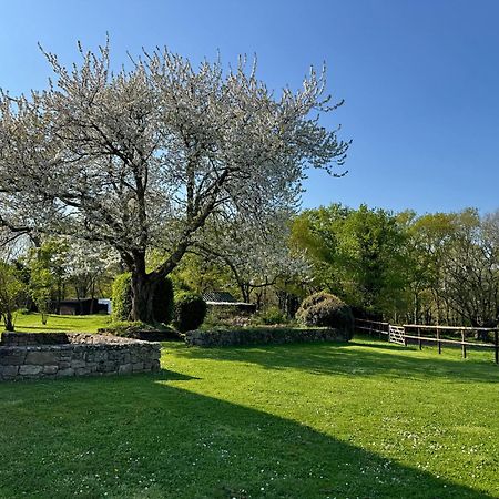 Le Domaine Du Ganquis Hotell Belz Eksteriør bilde